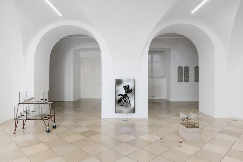 Ausstellungsansicht, Paradise Rot, 2025, Foto: Manuel Carreon Lopez, kunstdokumentation.com