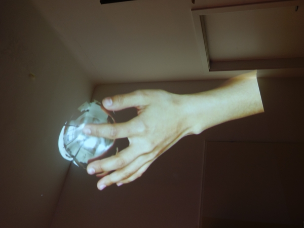 Ruth Schnell: Topography of Movement