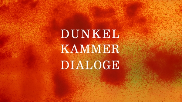 Ausstellungsplakat, Schriftzug
                                          Dunkelkammerdialoge auf orange-roten Hintergrund
