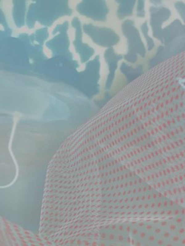 Ausstellungsbild @Birgit F. & Elena Riener