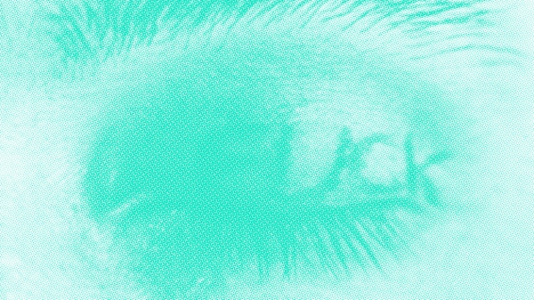 Ausstellungsplakat mit drei
                                          Buchstaben AIL und drei Augen