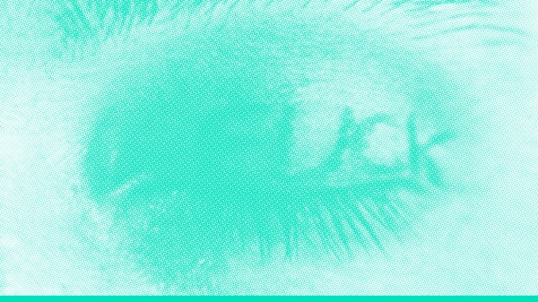 Ausstellungsplakat mit
                                          drei Buchstaben AIL und drei Augen