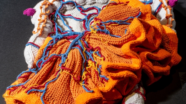 Katharina Sabernig Darm,
                                          2016 Baumwolle, gestrickt und gehäkelt, 50 x 60 x 14 cm Foto © N. Lackner, UMJ