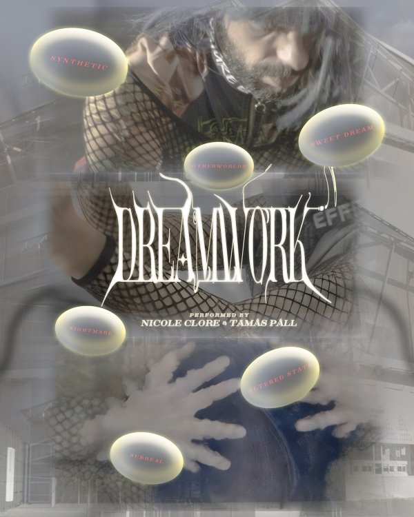 Poster Dreamwork